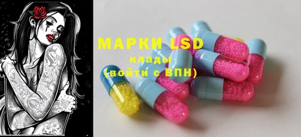 PSILOCYBIN Баксан